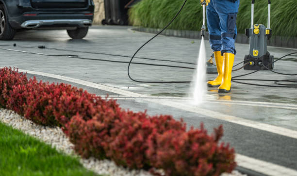 Best Roof Washing  in Shattuck, OK